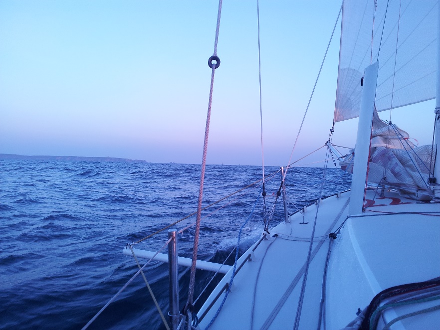 Photo Article 1000nm2